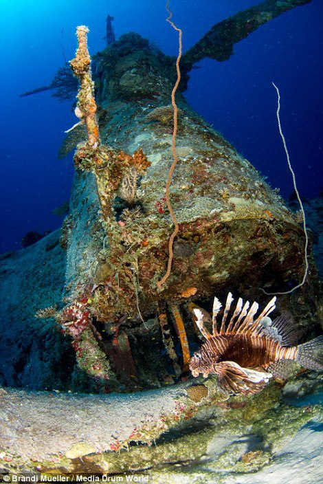 Подводное кладбище самолетов времен Второй мировой войны