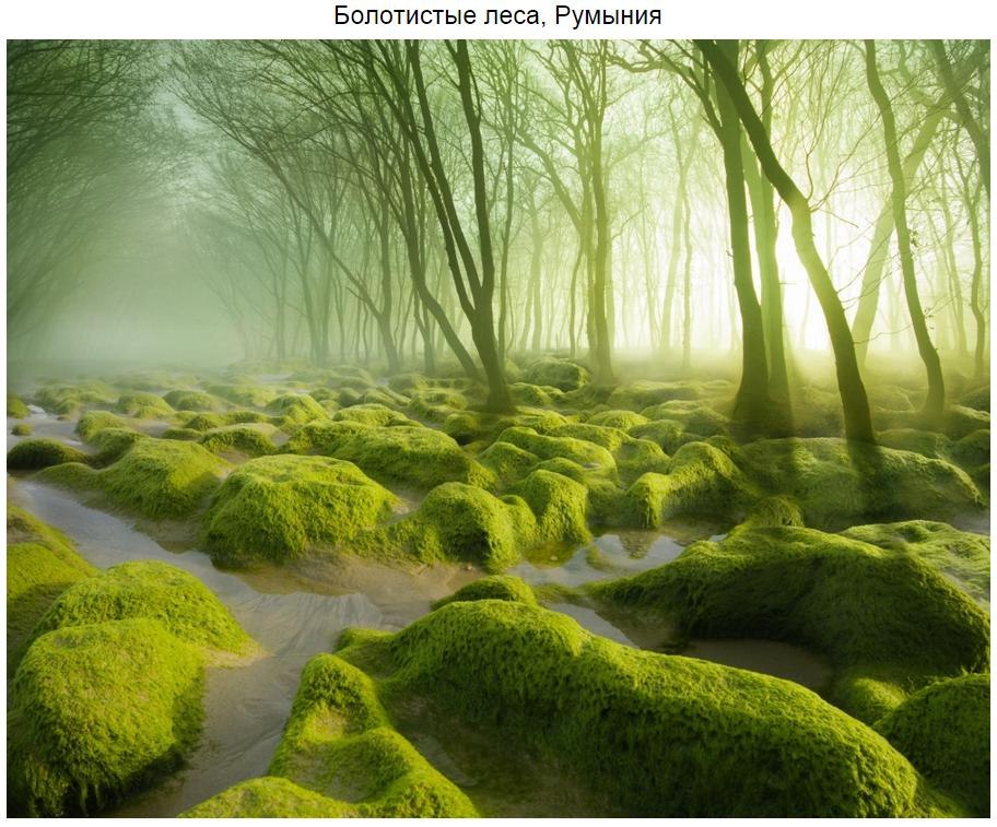10 мистических лесов, в которых хочется заблудиться