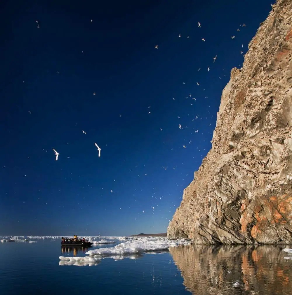 Wrangel Island, Russia.