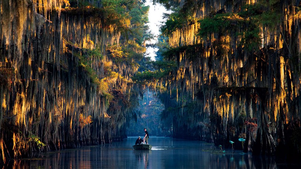 Сказочные пейзажи Луизианы, США 