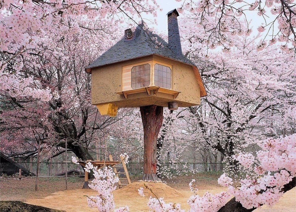 Tree house in Japan