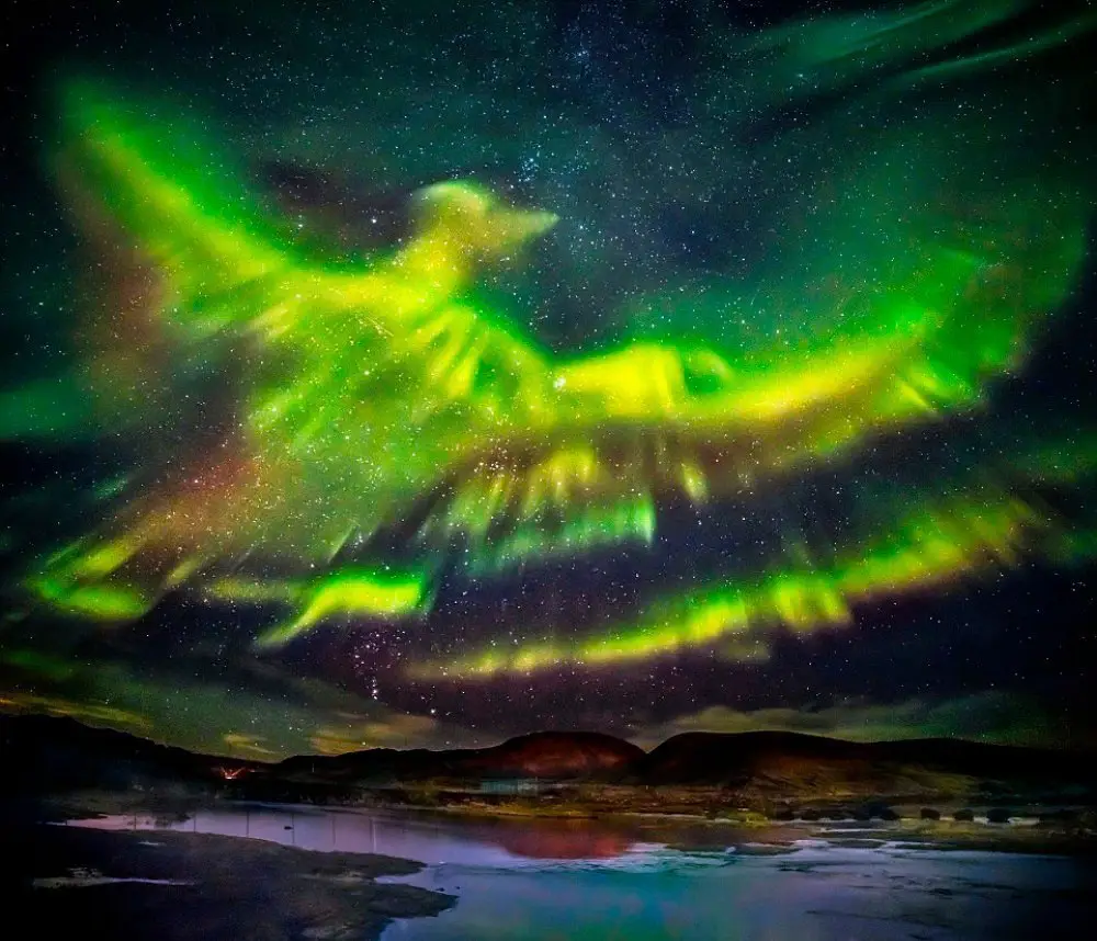 10 фотографий без фотошопа, где реальность граничит с иллюзией.