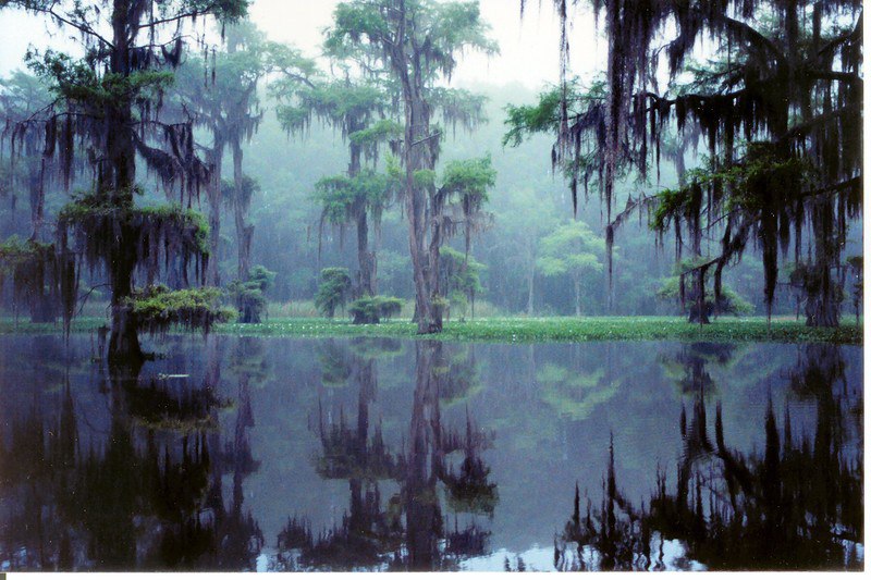 Сказочные пейзажи Луизианы, США 