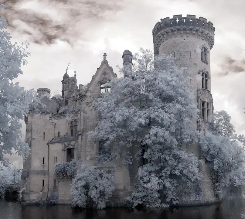 Замок Château de la Mothe-Chandeniers, Франция