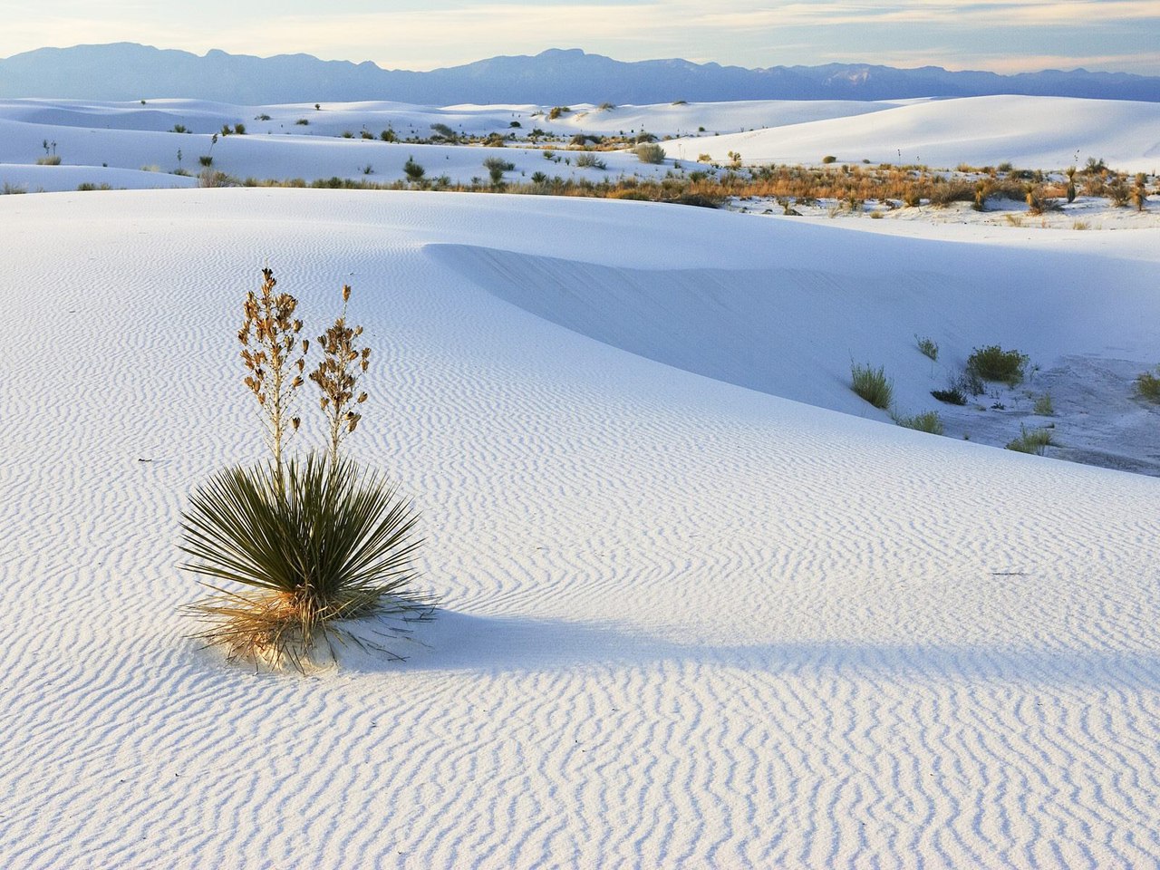 Белые пески Фарфоровой пустыни в США