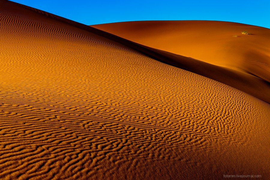 Геометрия песка: прихотливые узоры Сахары