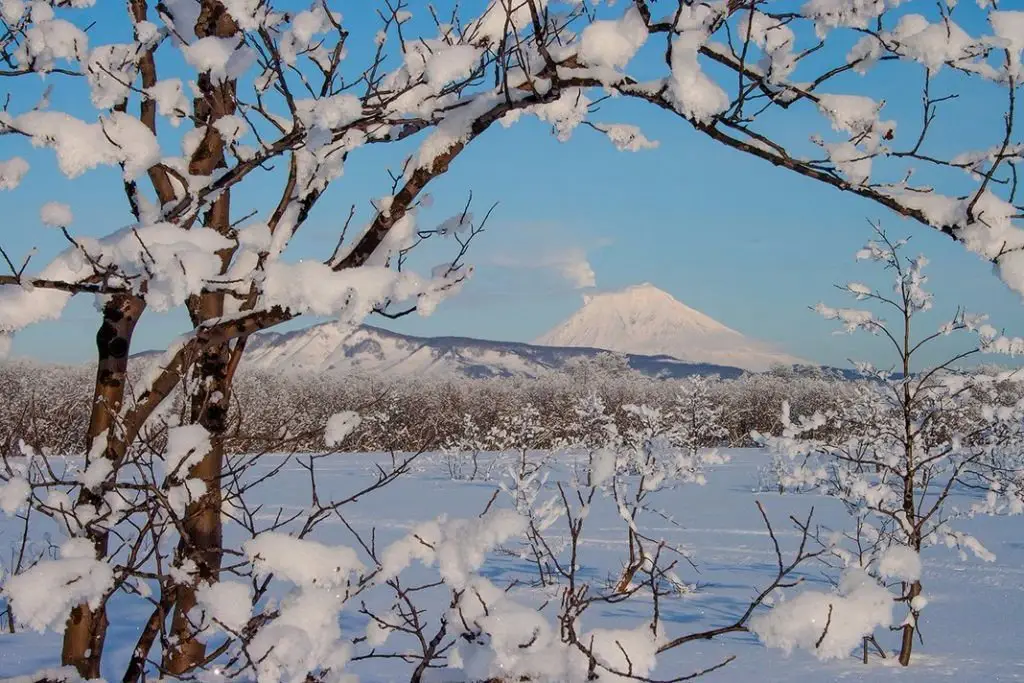 Красавица Камчатка