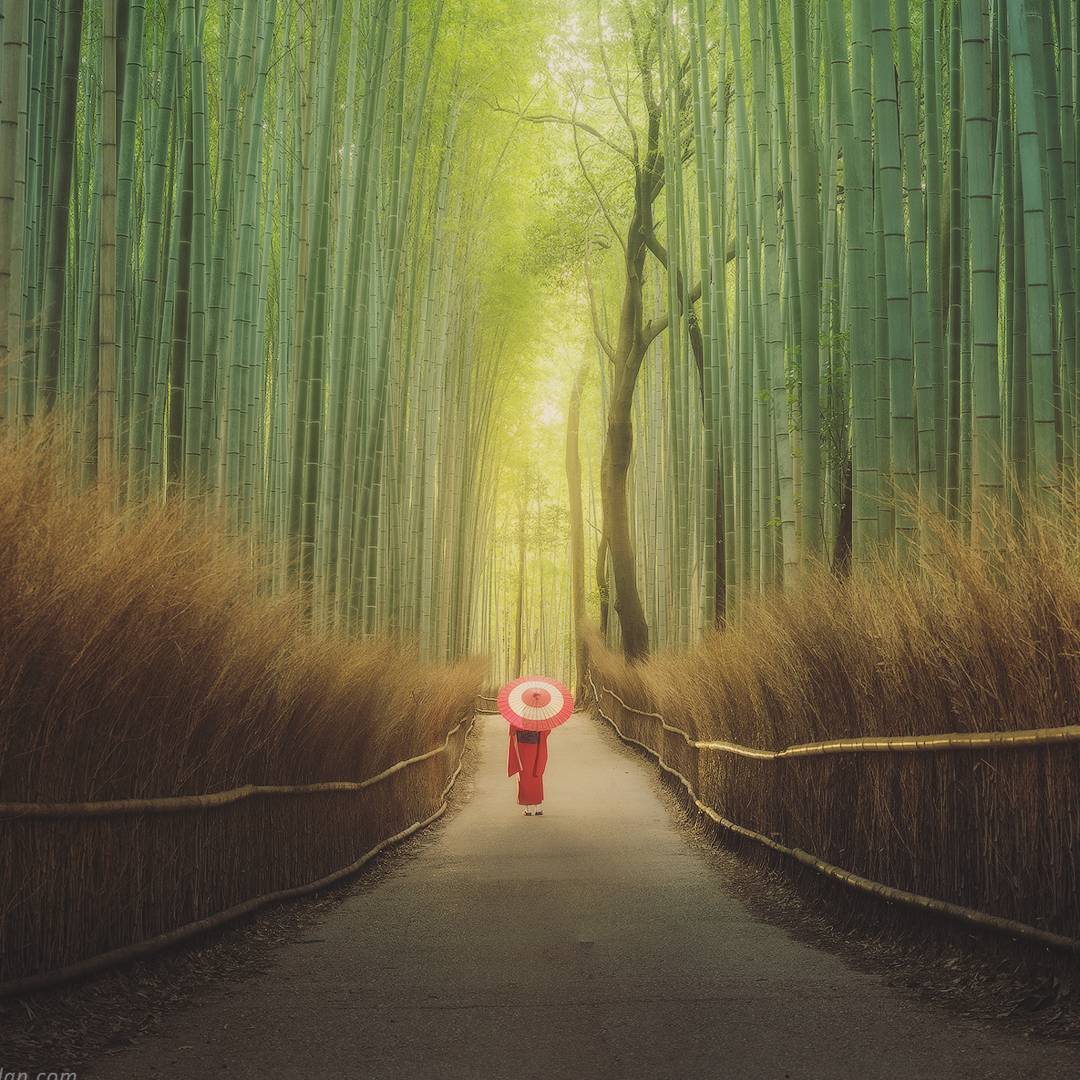 Путешествие по Японии с бамбуковым зонтиком