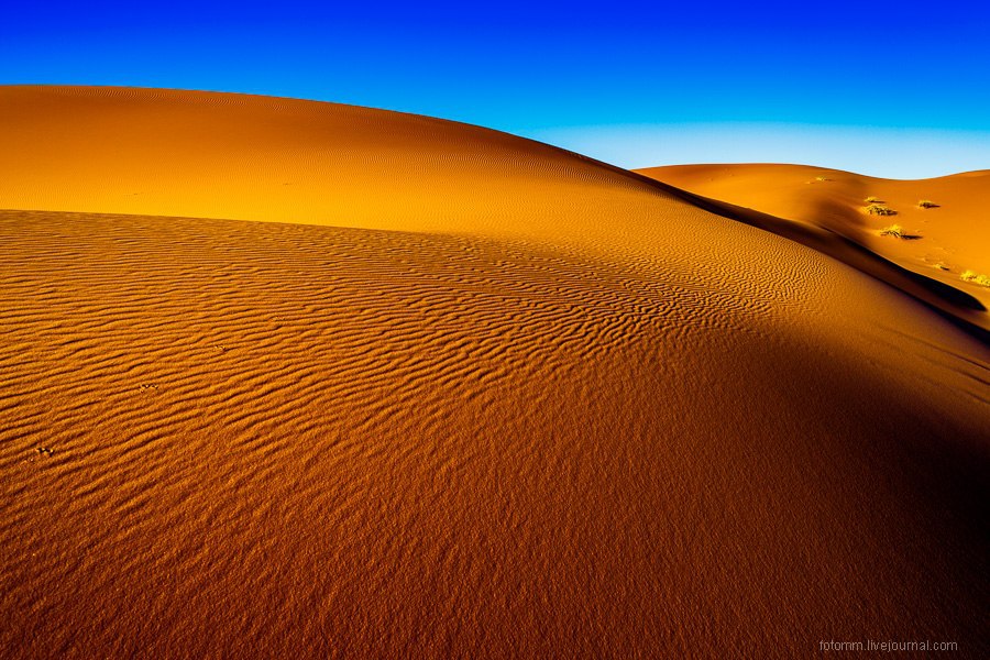 Геометрия песка: прихотливые узоры Сахары