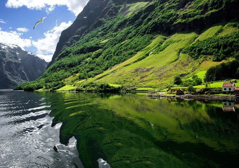 Найкрасивіші фіорди Норвегії