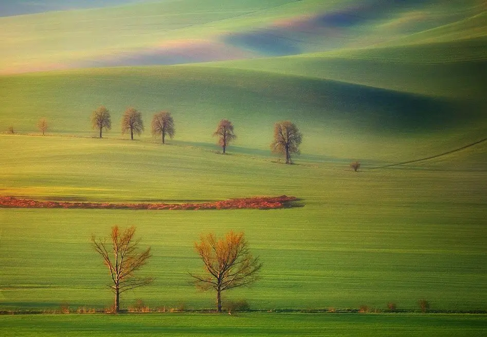 Поля Моравии, Чехия