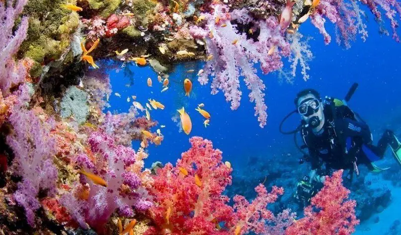 Красное море — самое молодое, самое соленое, самое красивое и самое богатое.