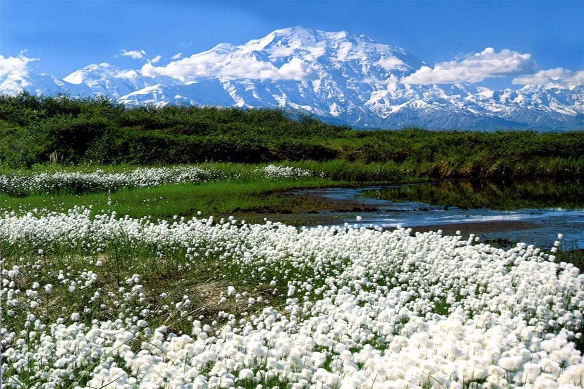 The expanses of Alaska