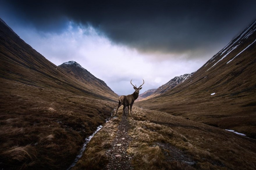 Невероятные пейзажи Шотландии
