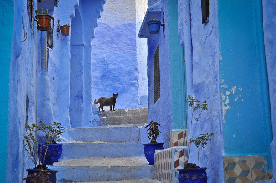 Шефшауен, Марокко. Казково синій місто.