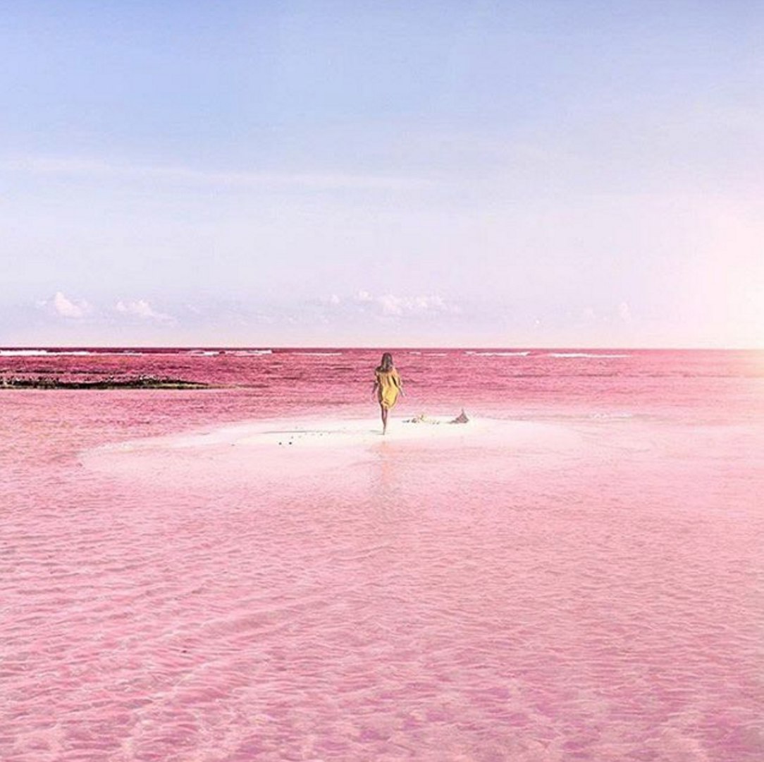 Розовая лагуна у берегов Мексики