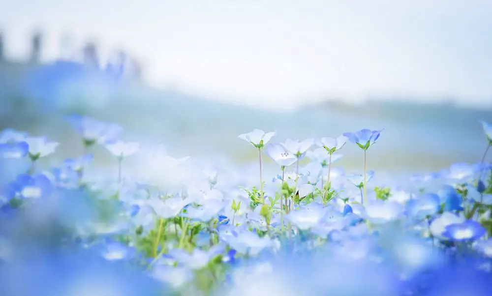 When the sky fell to the ground