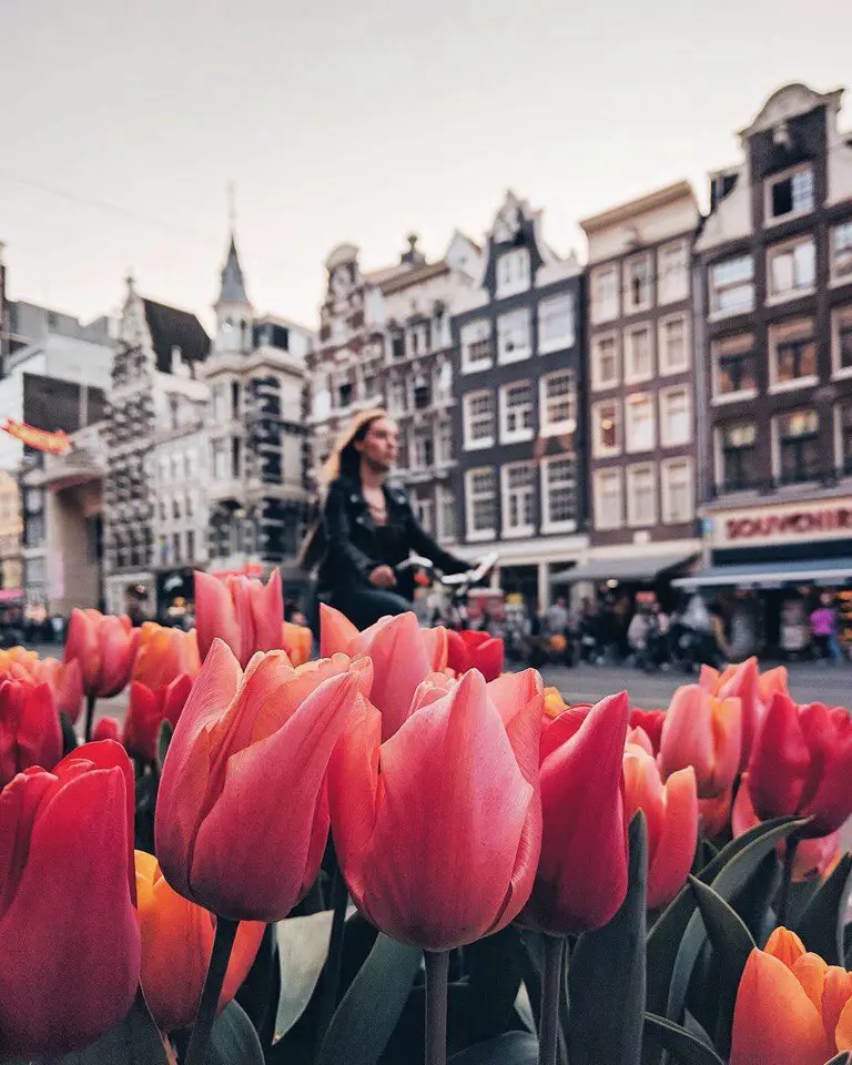 Amsterdam, Netherlands
