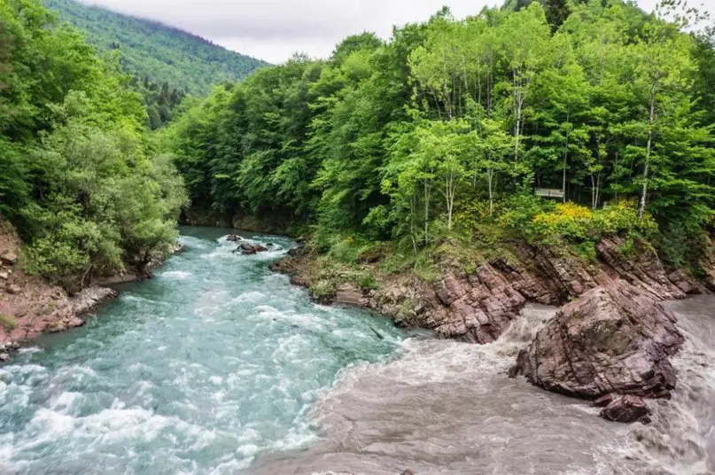 На границе двух водных миров. Это потрясающе!