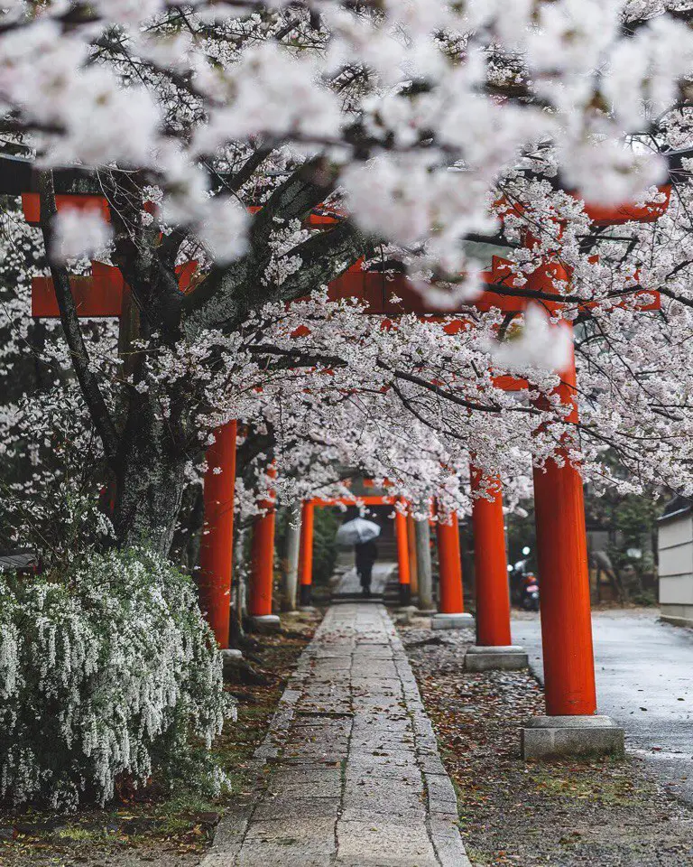 Kyoto, Japan