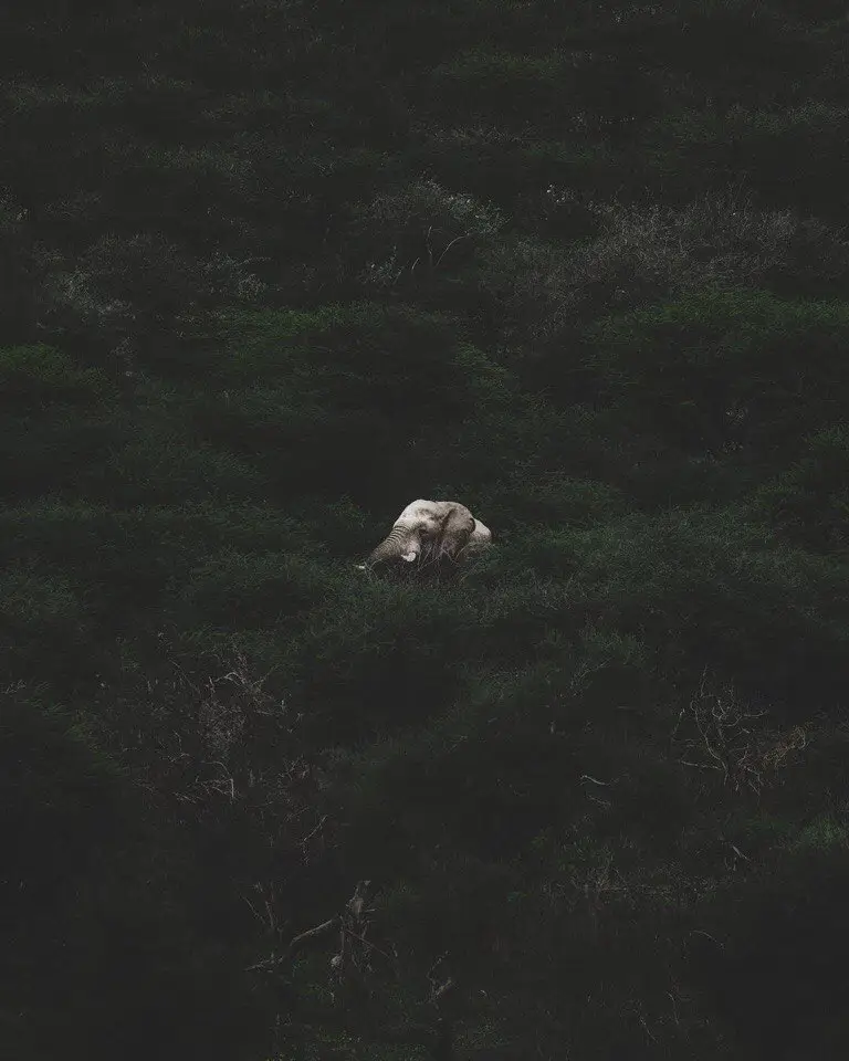 Africa