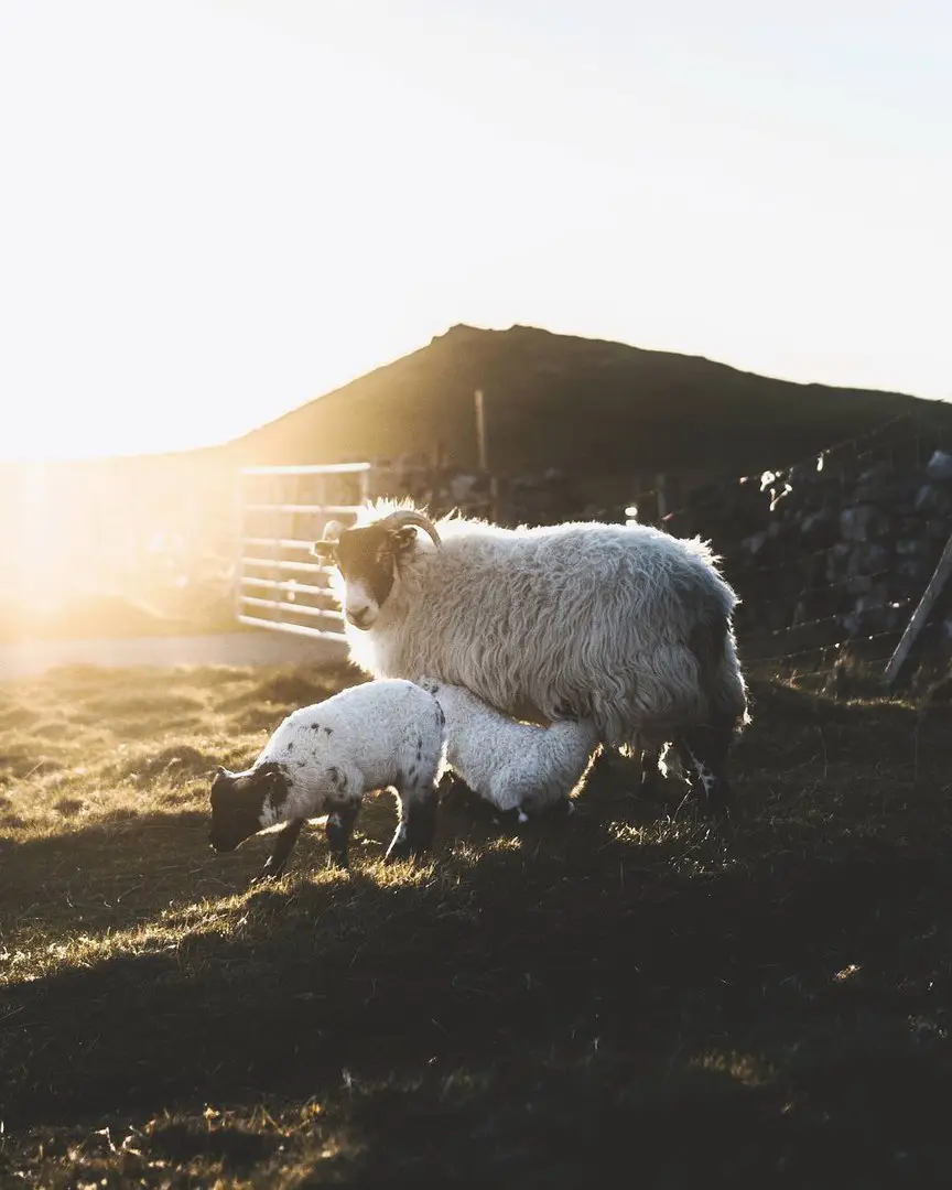 Scotland