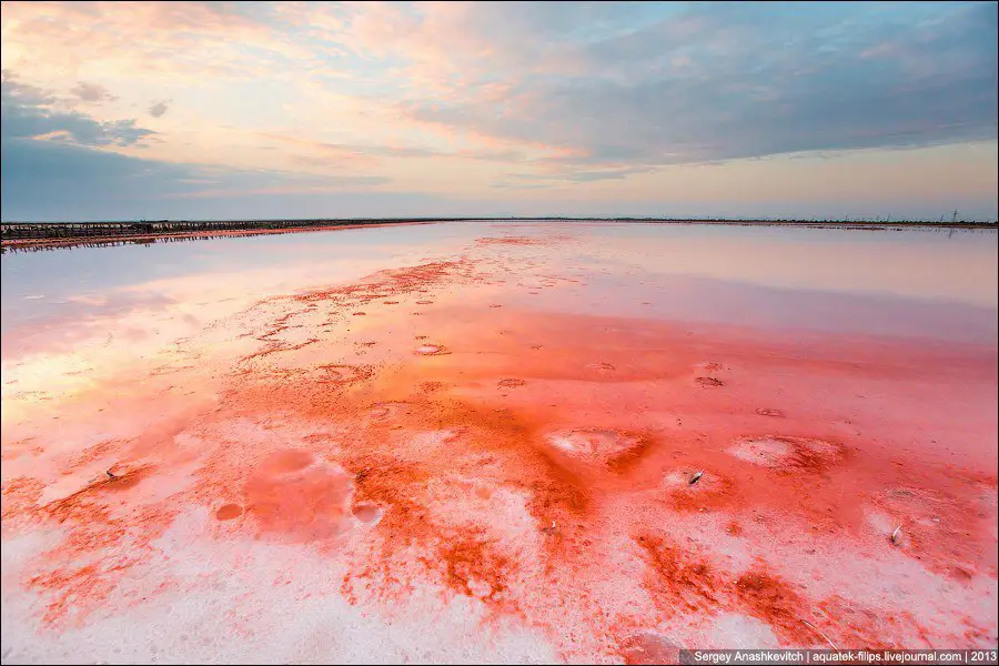 Insanely beautiful abandoned fields for growing salt, Crimea