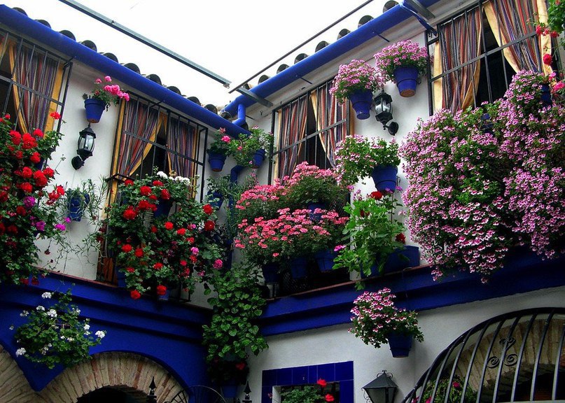 Испания утопает в цветах