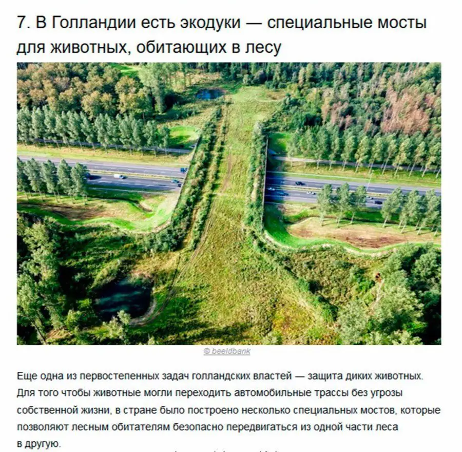 7 доказательств, что Голландия — это страна будущего.