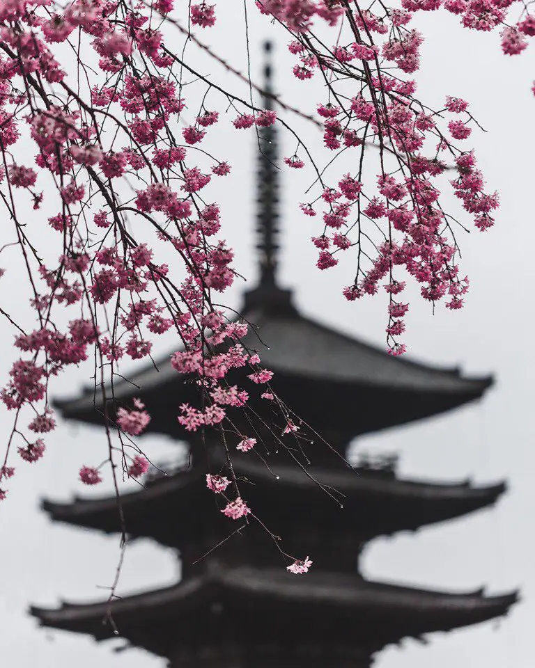 Kyoto, Japan