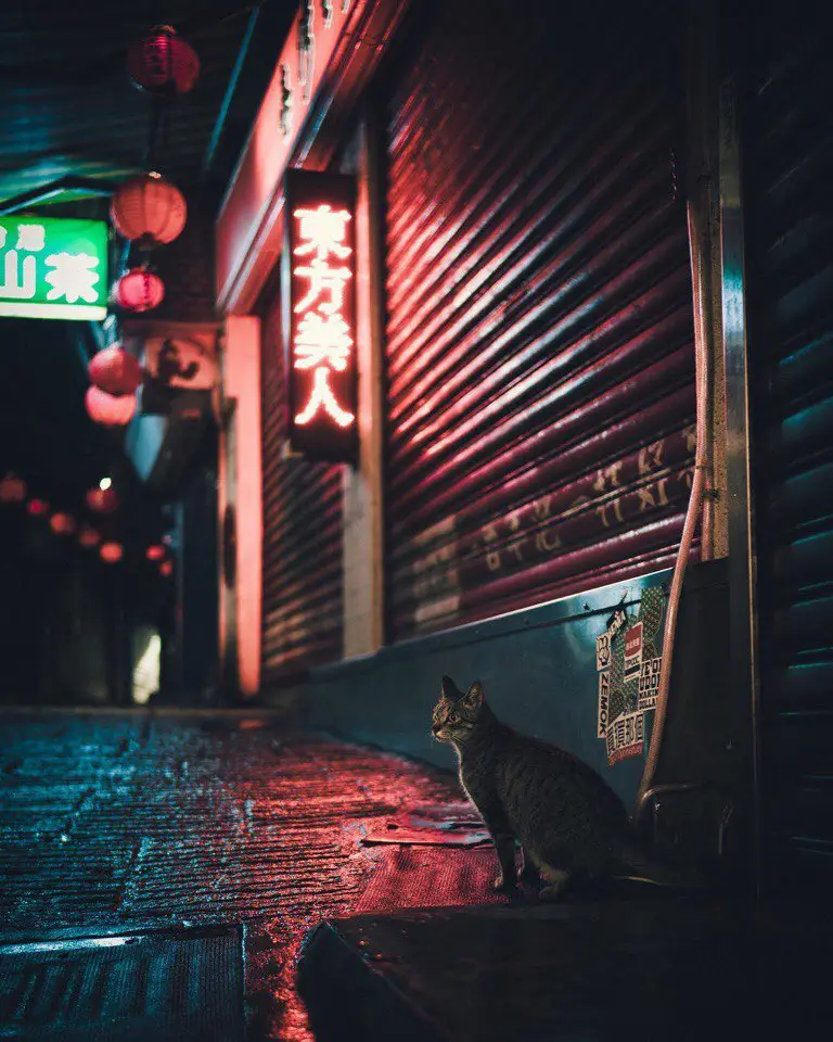Taiwan
