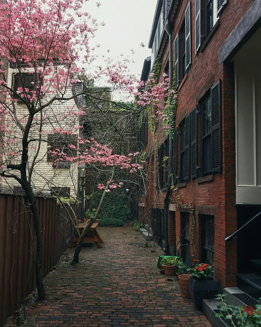 Boston, Massachusetts, USA