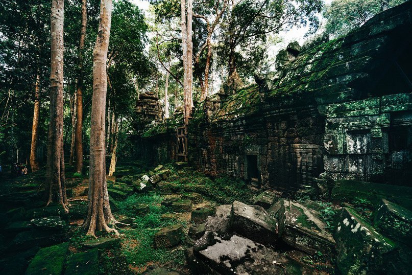 Занедбані храми Камбоджі