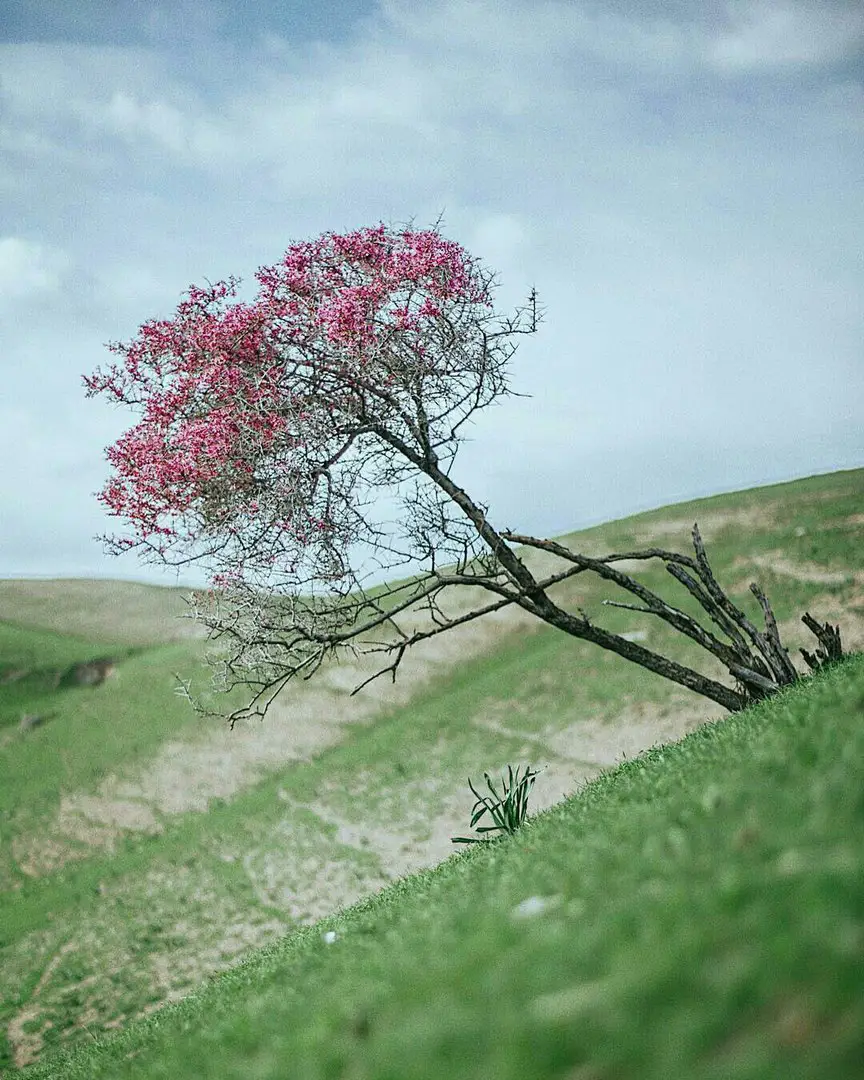Узбекистан