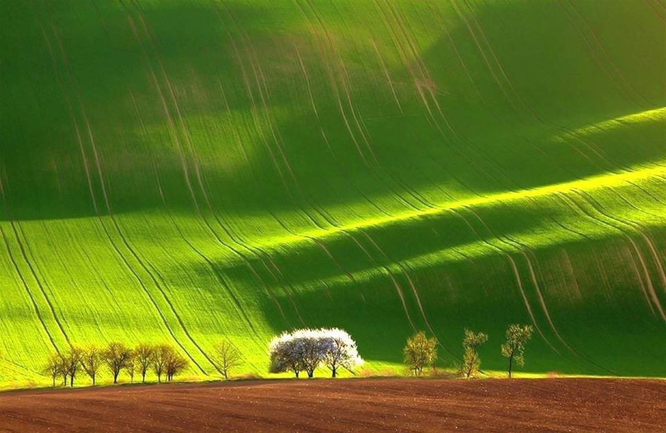 Fields of Moravia, Czech Republic