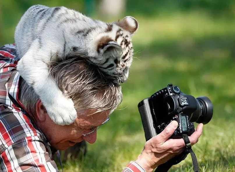 Вот почему фотограф дикой природы – лучшая профессия в мире!