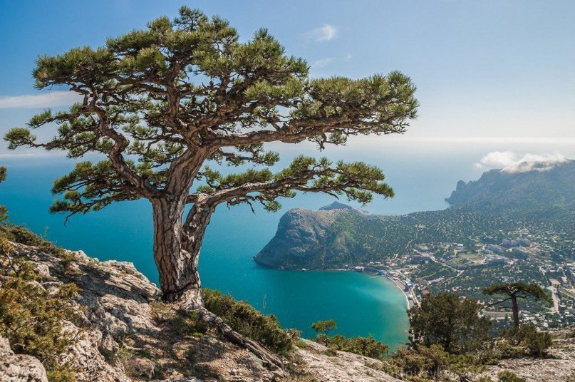 Beautiful Crimea