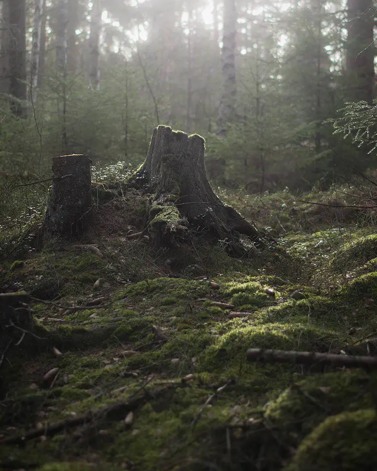 Dalsland, Sweden