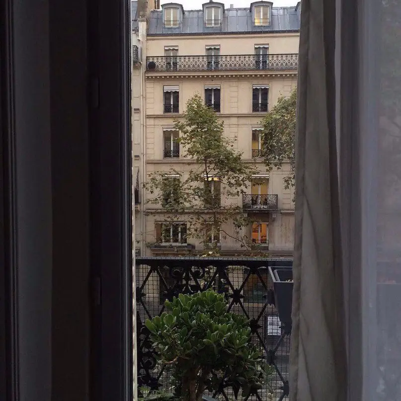 Large panoramic windows - buzz