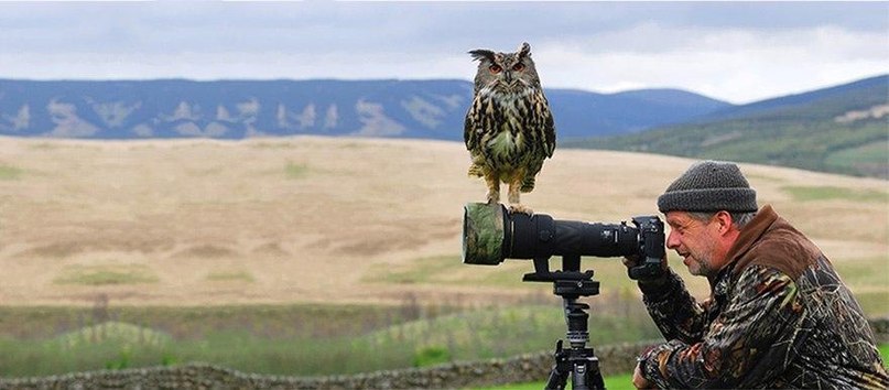 Вот почему фотограф дикой природы – лучшая профессия в мире!