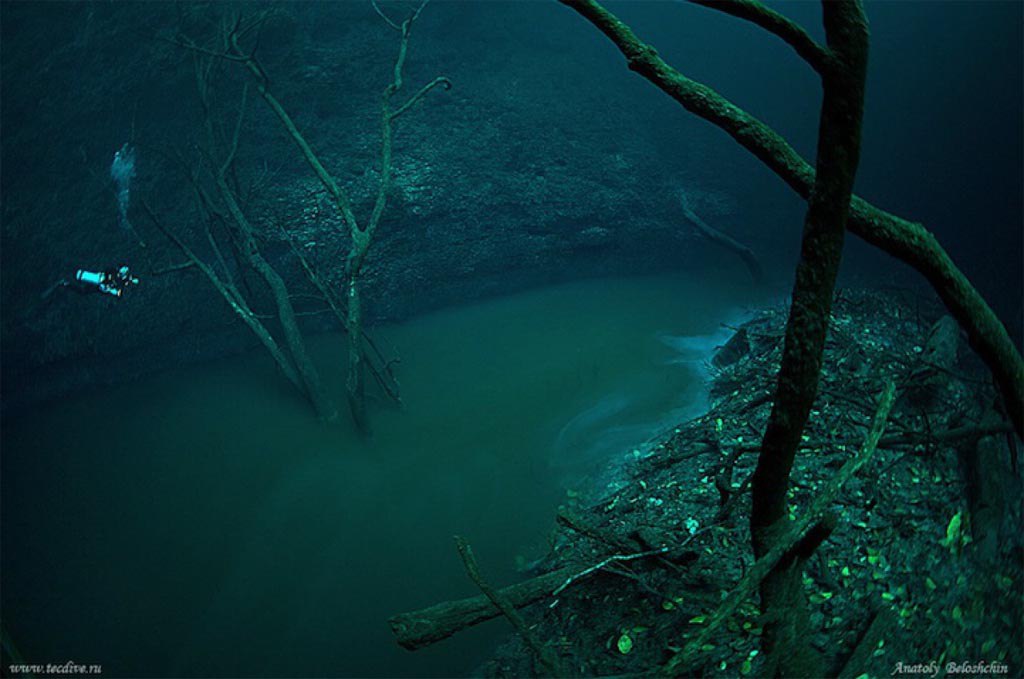 Дайвер обнаружил реку... под водой