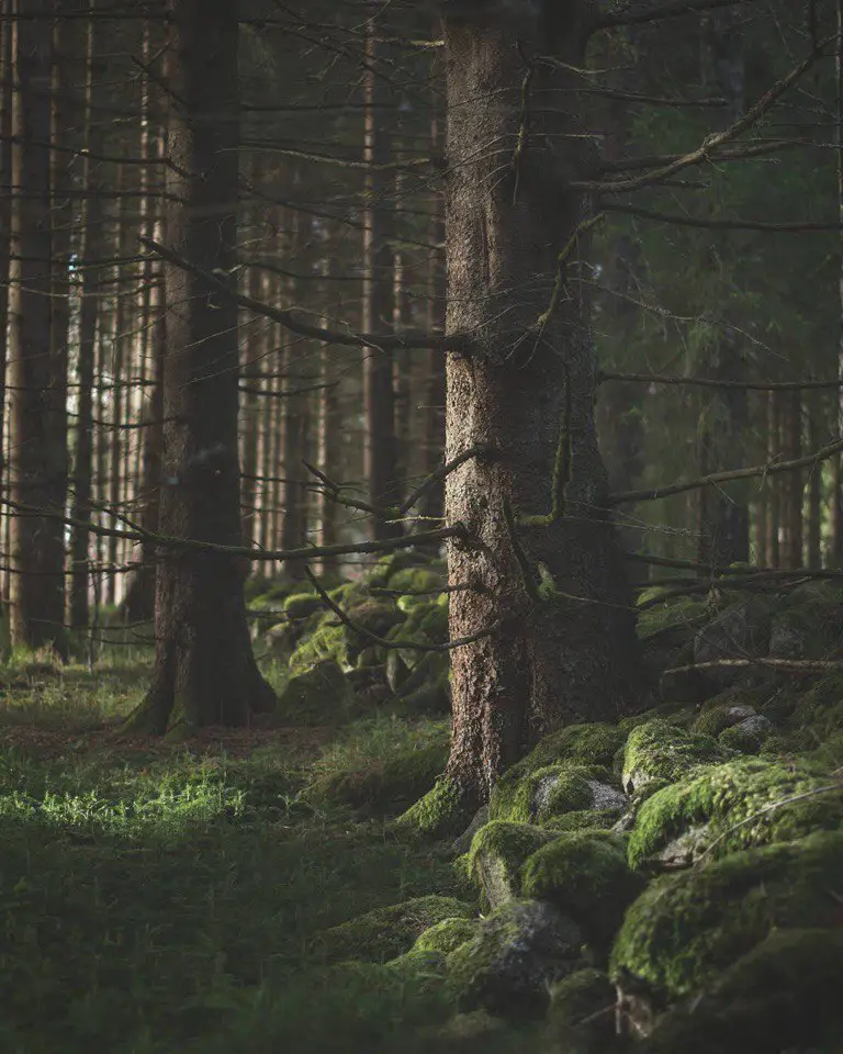 Dalsland, Sweden