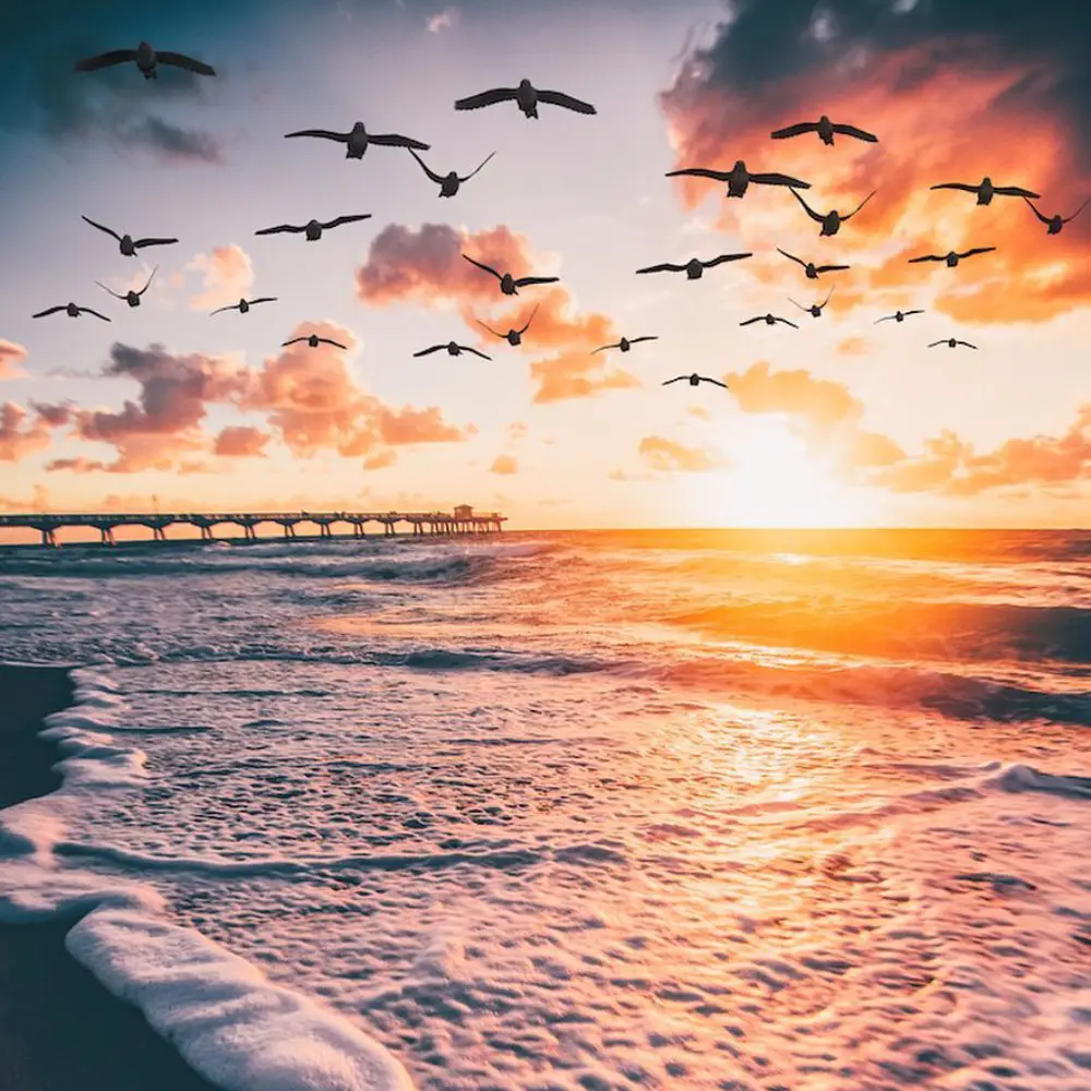 Florida