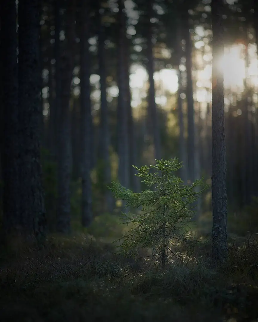 Sweden