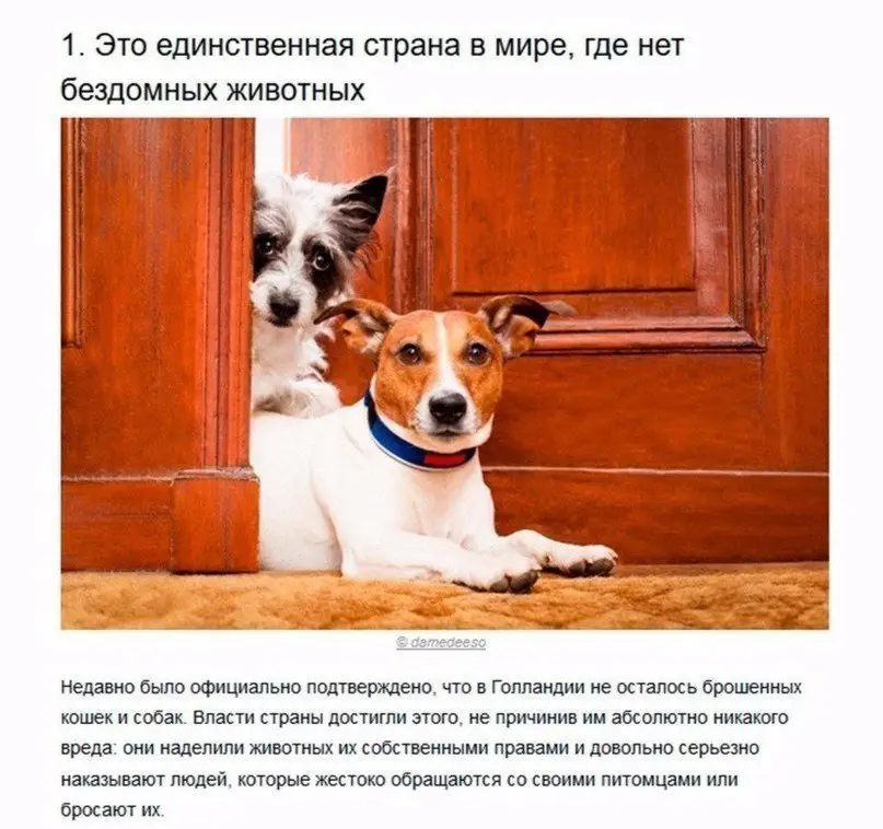7 доказательств, что Голландия — это страна будущего.
