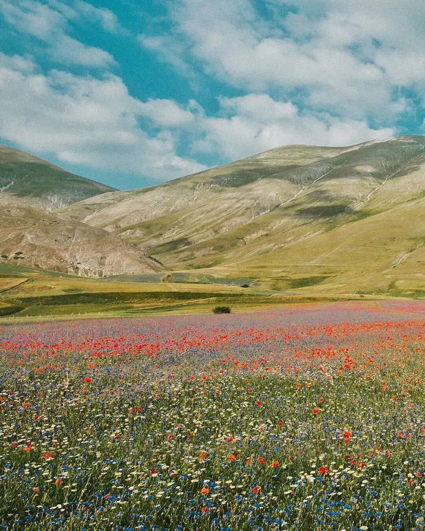 Italy