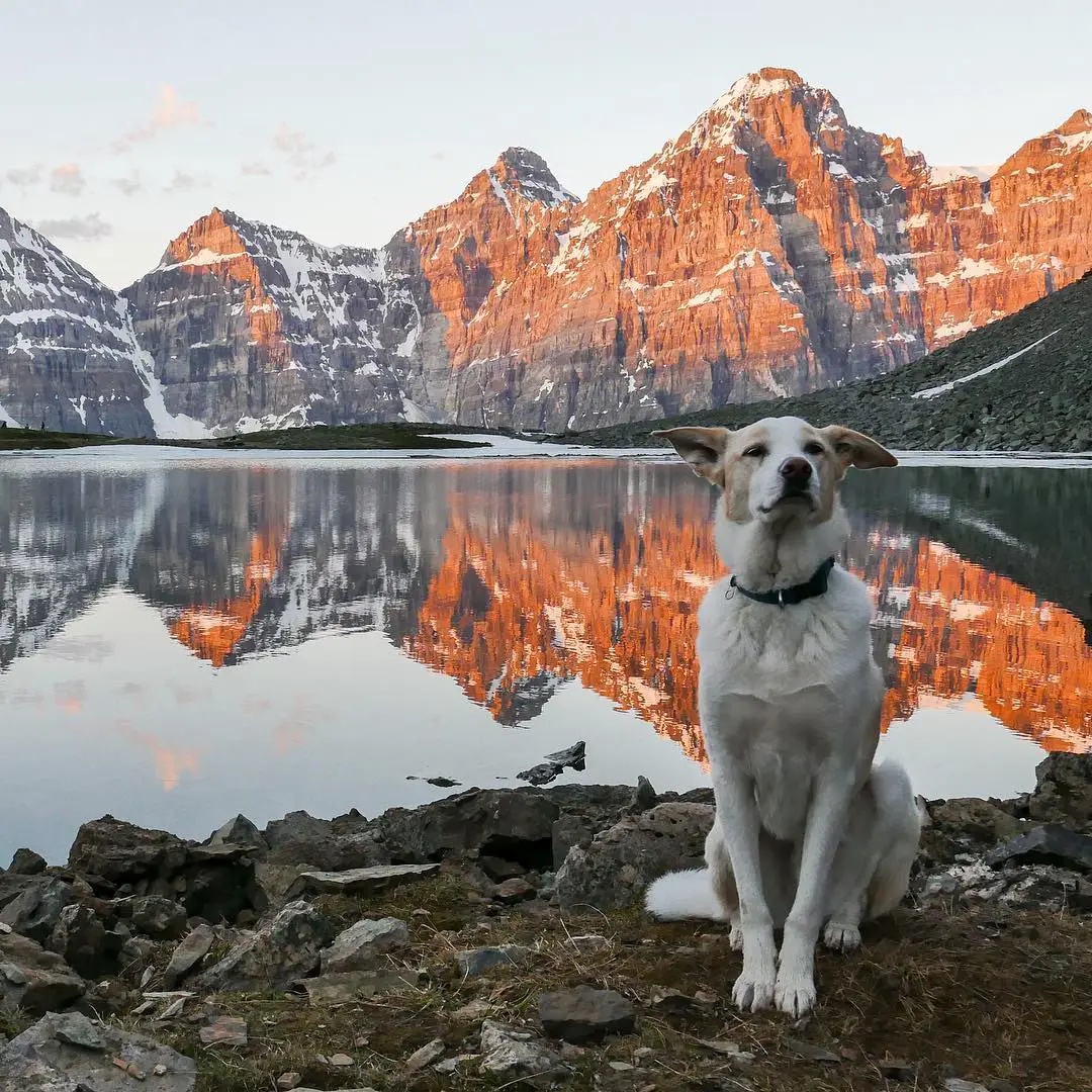 Alberta, Canada
