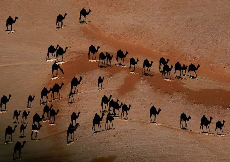 10 фотографий без фотошопа, где реальность граничит с иллюзией