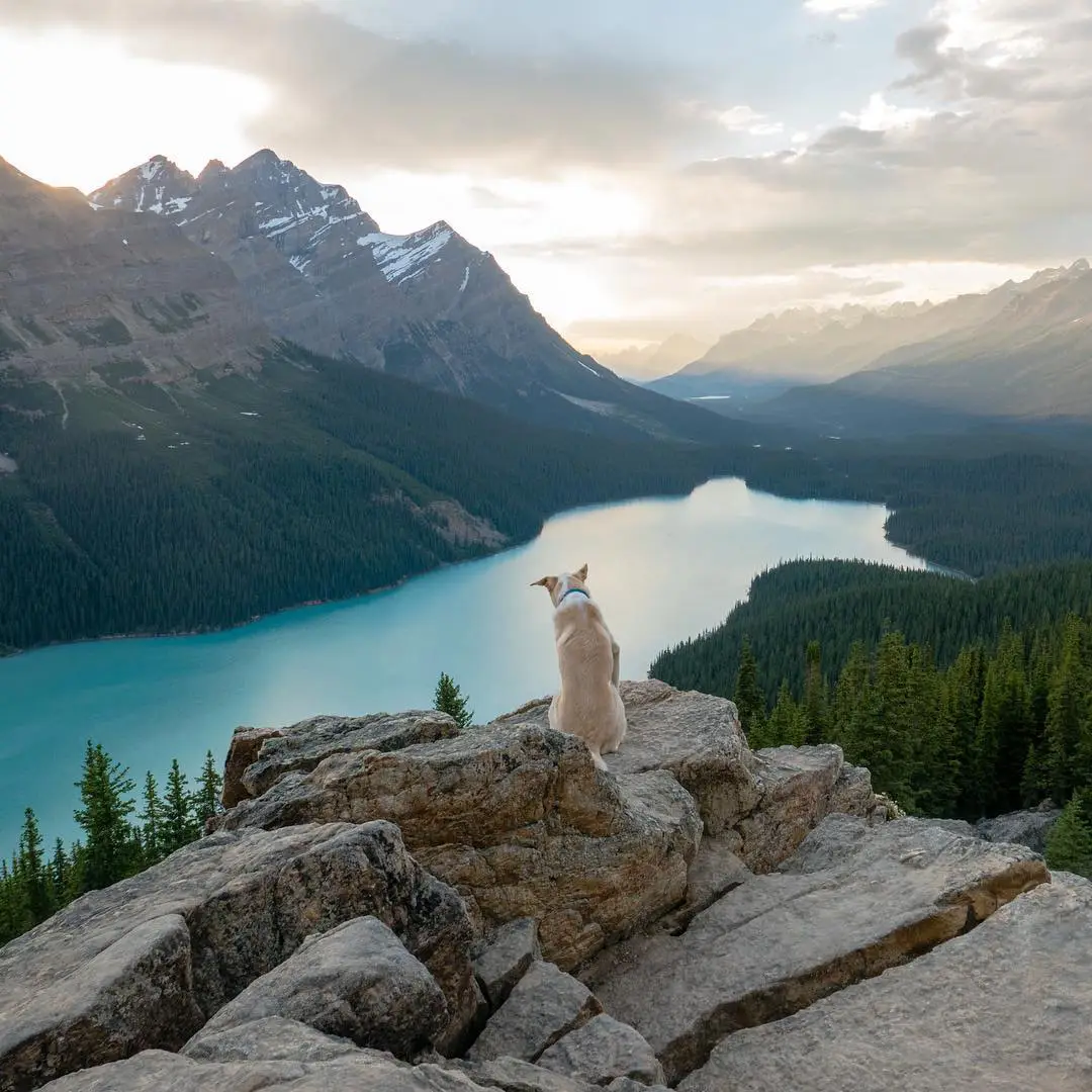 Alberta, Canada