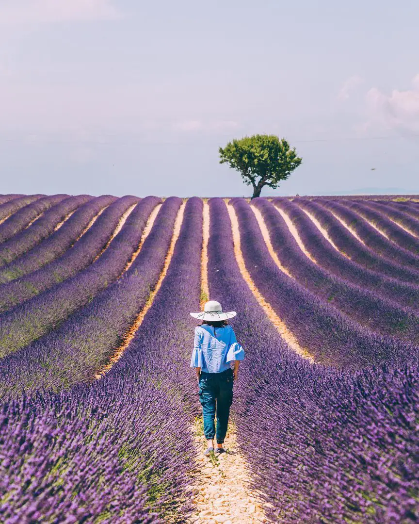 France